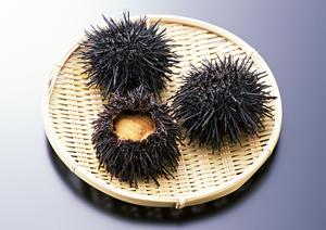 盛岡冷麺と焼肉の名店|ぴょんぴょん舎都南店の魅力と店舗情報