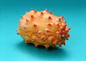 銀座の居酒屋で楽しむ絶品おばんざいガイド2025